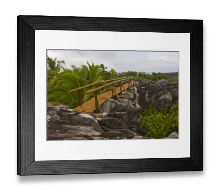 Framed Print : Bridge on nature walk on Fregate Island Framed Print : Bridge on nature walk on Fregate Island