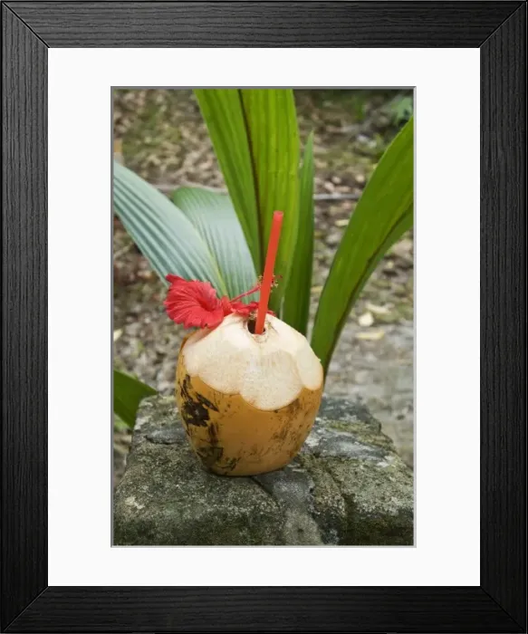 Framed Print : Island coconut drink on Fregate Island