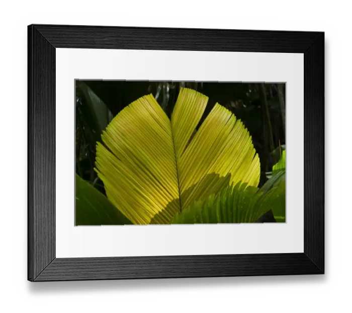 Framed Print : Africa, Seychelles Framed Print : Africa, Seychelles