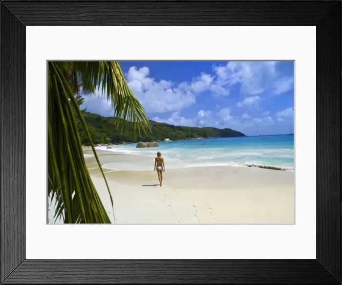 Framed Print : Delphine on Anse Lazio beach (MR)