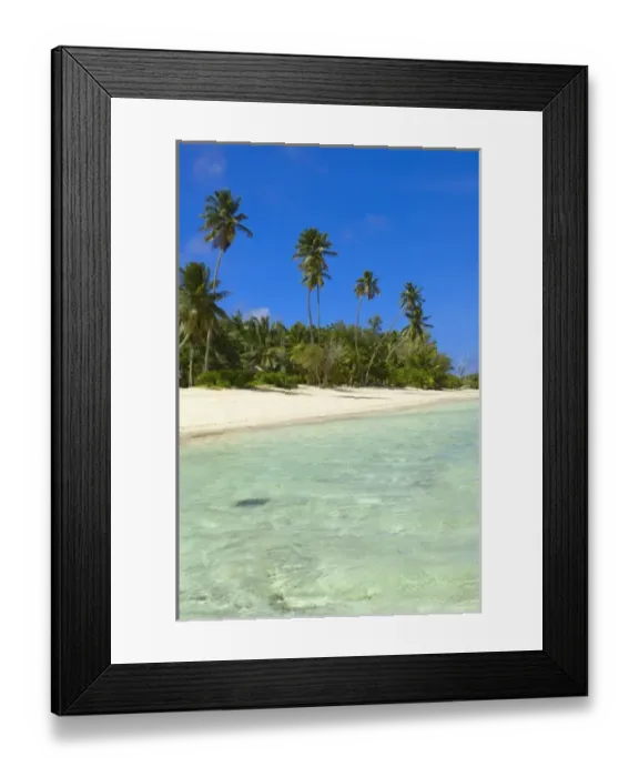Framed Print : Beach at Desroches Resort, Desroches Island Framed Print : Beach at Desroches Resort, Desroches Island