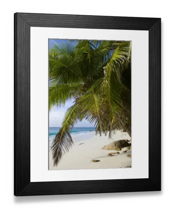 Framed Print : Africa, Seychelles Framed Print : Africa, Seychelles