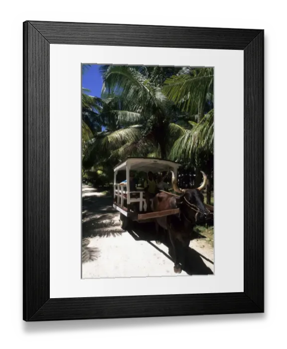 Framed Print : Quaint Oxen Cart in the beautiful village of La Digue in the Seychelles Islands off