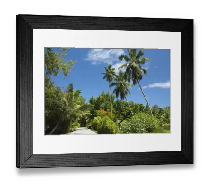 Framed Print : Seychelles, Island of La Digue. Typical remote island road Framed Print : Seychelles, Island of La Digue. Typical remote island road