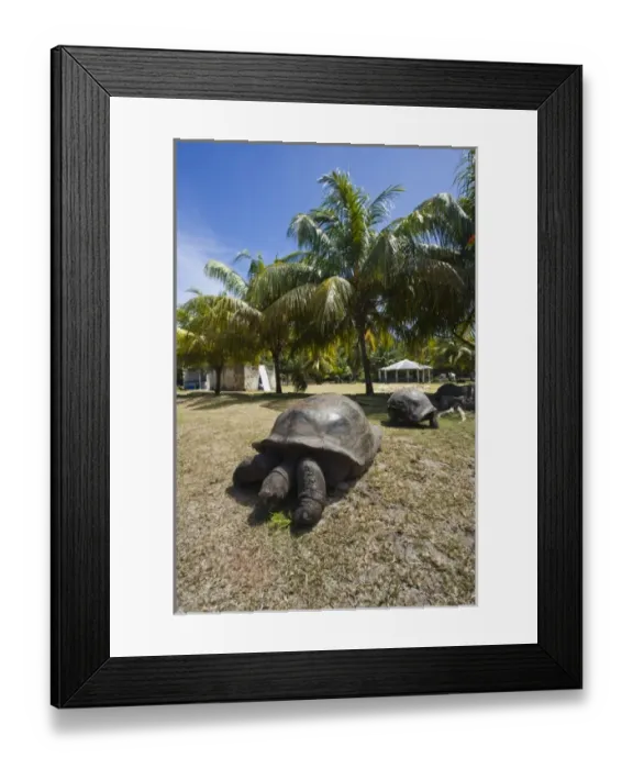 Framed Print : Africa, Seychelles Framed Print : Africa, Seychelles