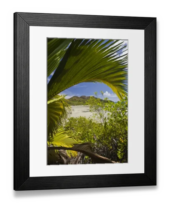 Framed Print : Africa, Seychelles