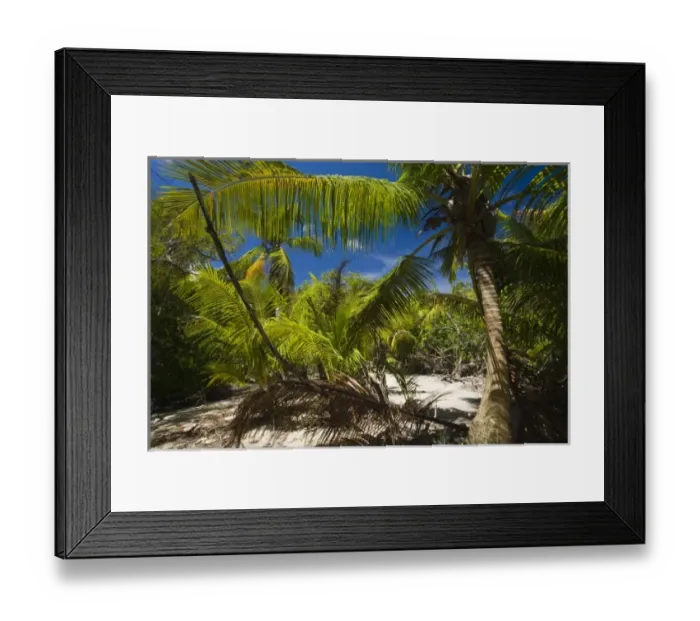 Framed Print : Seychelles, Curieuse Island, marsh walk Framed Print : Seychelles, Curieuse Island, marsh walk