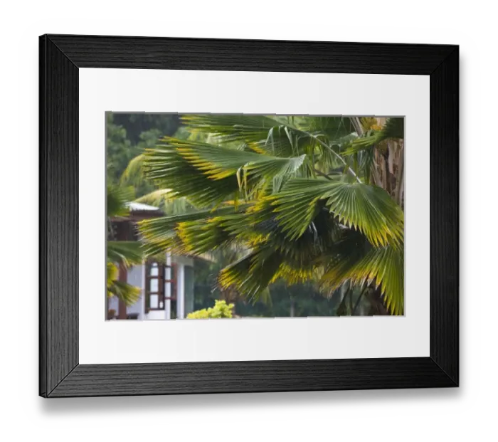 Framed Print : Seychelles, La Digue Island, La Passe, morning shower Framed Print : Seychelles, La Digue Island, La Passe, morning shower