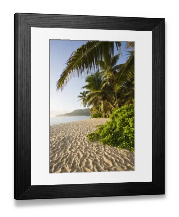 Framed Print : Africa, Seychelles