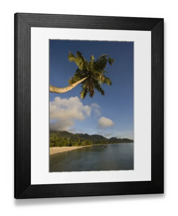 Framed Print : Seychelles, Mahe Island, horizontal palm, Fairyland Beach, dawn Framed Print : Seychelles, Mahe Island, horizontal palm, Fairyland Beach, dawn