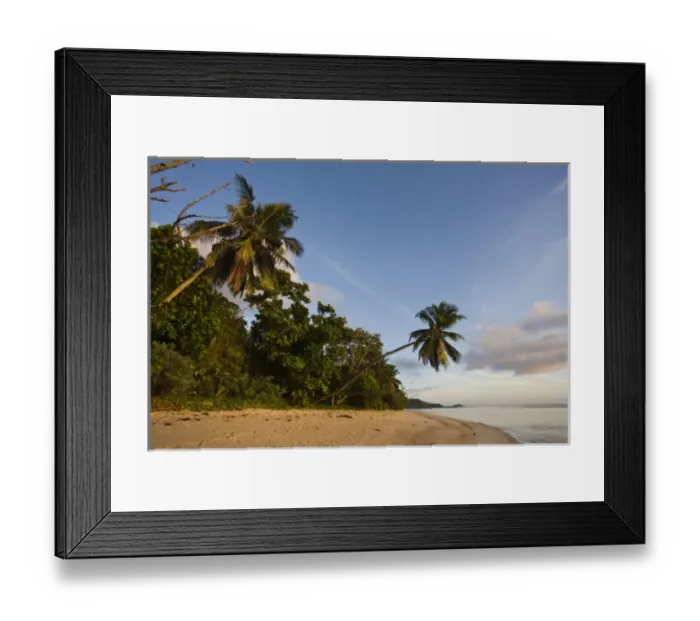 Framed Print : Seychelles, Mahe Island, horizontal palm, Fairyland Beach, dawn Framed Print : Seychelles, Mahe Island, horizontal palm, Fairyland Beach, dawn
