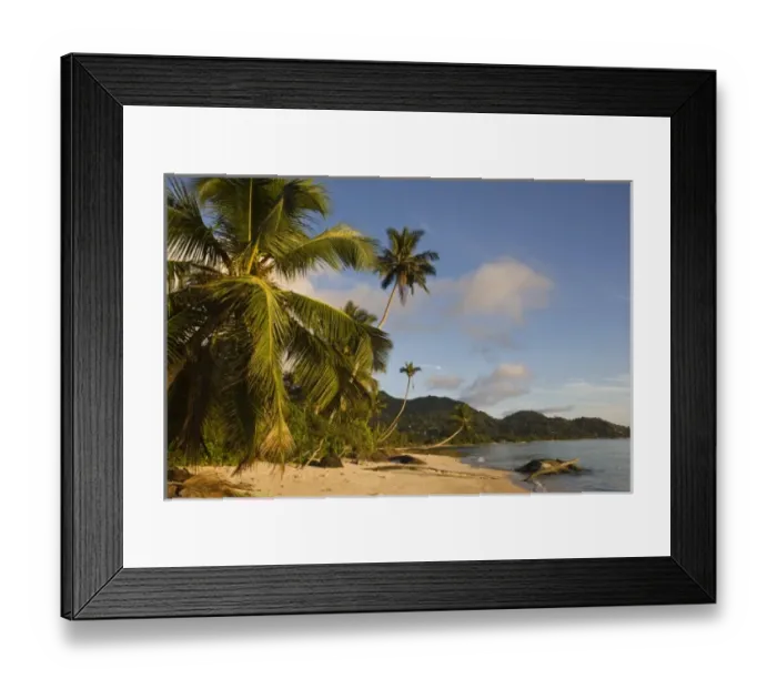 Framed Print : Seychelles, Mahe Island, palms, Fairyland Beach, dawn Framed Print : Seychelles, Mahe Island, palms, Fairyland Beach, dawn