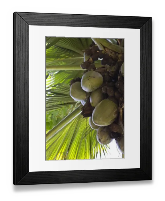Framed Print : Africa, Seychelles