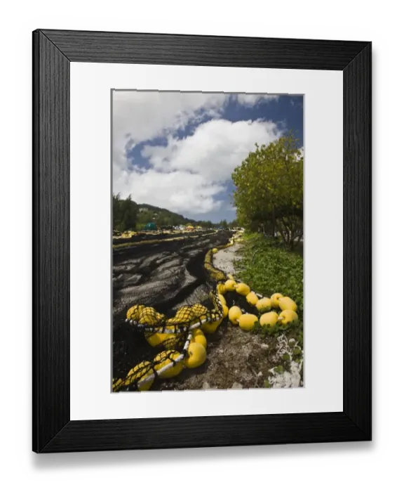 Framed Print : Seychelles, Mahe Island, Victoria, Inner Harbor, drying fishing nets