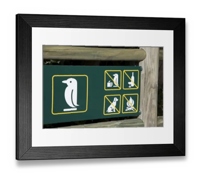 Framed Print : Africa, South Africa Framed Print : Africa, South Africa