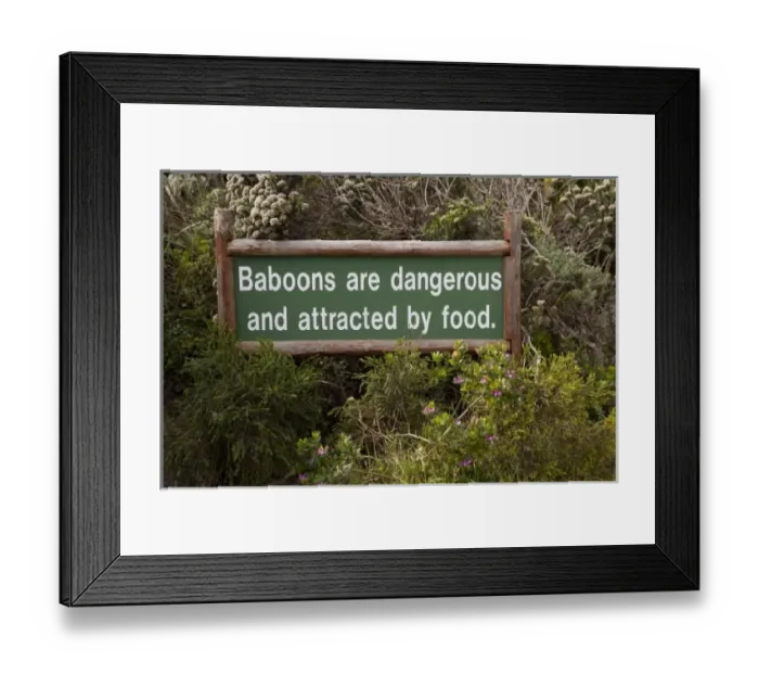 Framed Print : Africa, South Africa Framed Print : Africa, South Africa