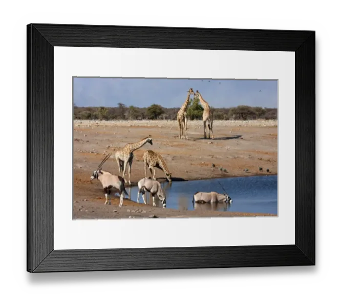 Framed Print : Africa, South Africa Framed Print : Africa, South Africa