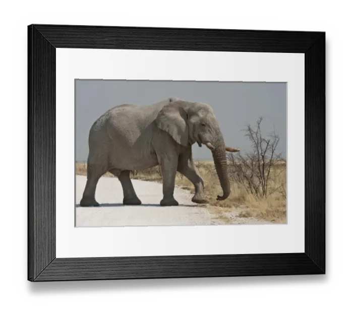 Framed Print : Africa, South Africa Framed Print : Africa, South Africa