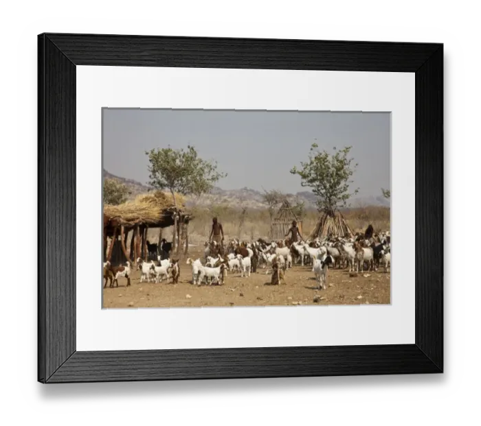 Framed Print : Africa, South Africa Framed Print : Africa, South Africa