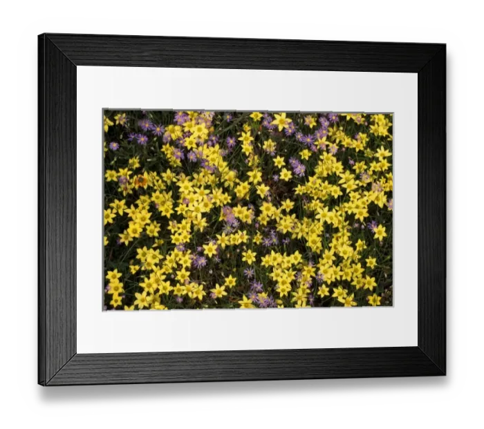 Framed Print : Africa, South Africa Framed Print : Africa, South Africa