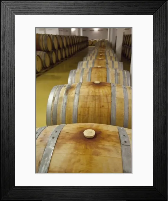 Framed Print : Africa, South Africa