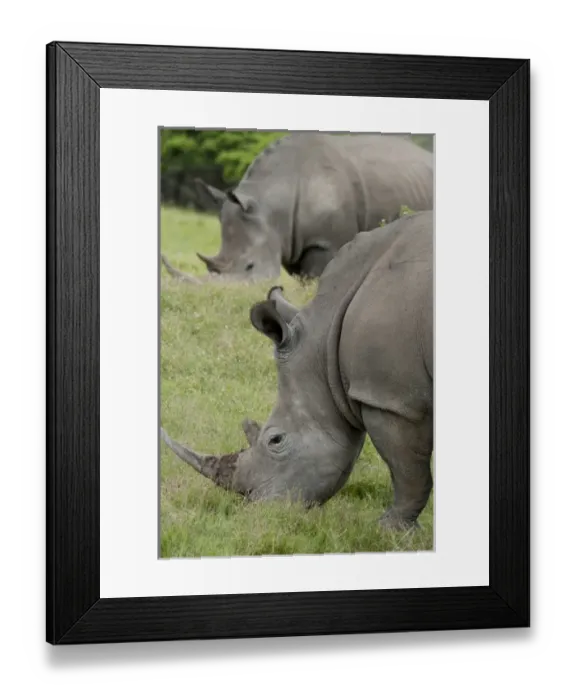 Framed Print : Africa, South Africa