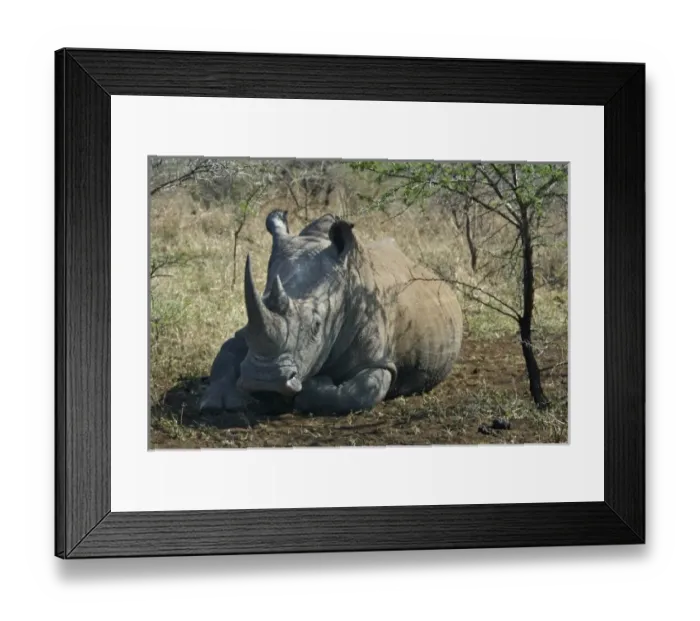 Framed Print : Africa, South Africa
