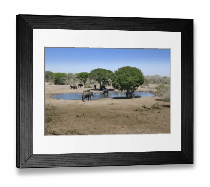 Framed Print : Africa, South Africa Framed Print : Africa, South Africa