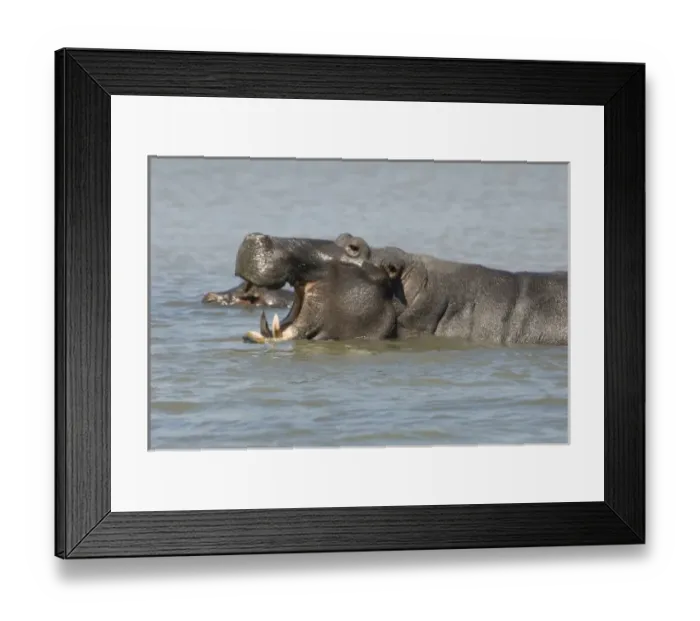 Framed Print : Africa, South Africa Framed Print : Africa, South Africa