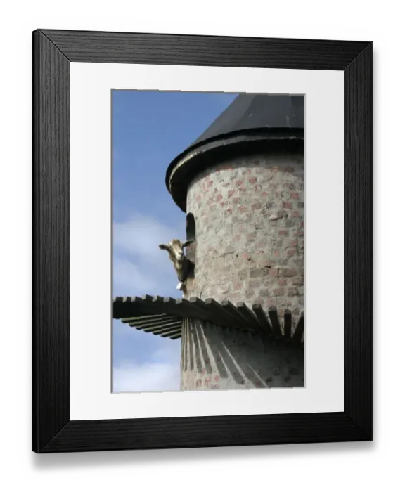 Framed Print : Paarl, South Africa. Fairview winery, goat tower. Producers of Goats du Roam wine Framed Print : Paarl, South Africa. Fairview winery, goat tower. Producers of Goats du Roam wine