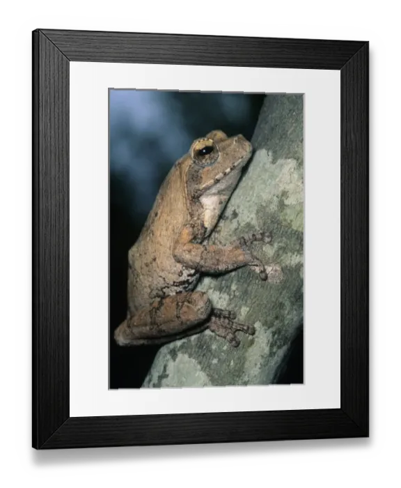 Framed Print : Africa, South Africa