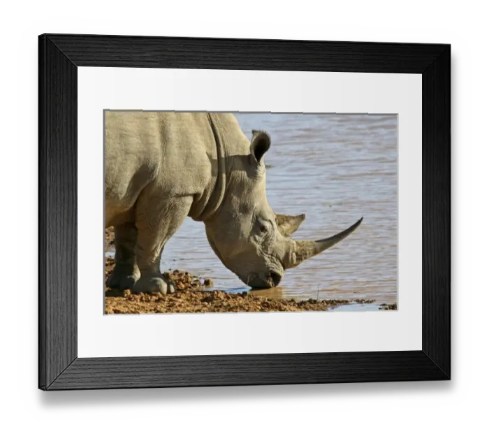 Framed Print : Africa, South Africa