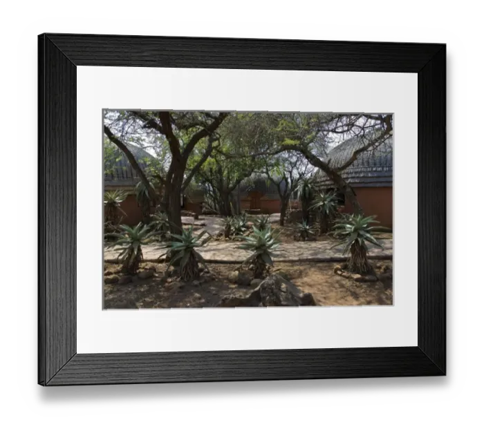 Framed Print : Africa, South Africa Framed Print : Africa, South Africa