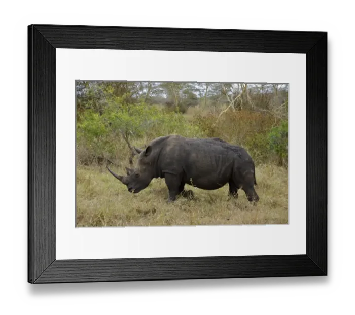 Framed Print : Africa, South Africa