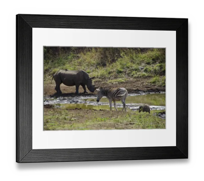 Framed Print : Africa, South Africa