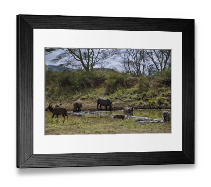 Framed Print : Africa, South Africa