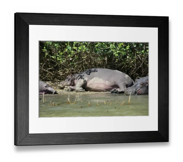 Framed Print : Africa, South Africa, KwaZulu Natal, Greater St Lucia Wetland Park, iSimangaliso Wetlands Park