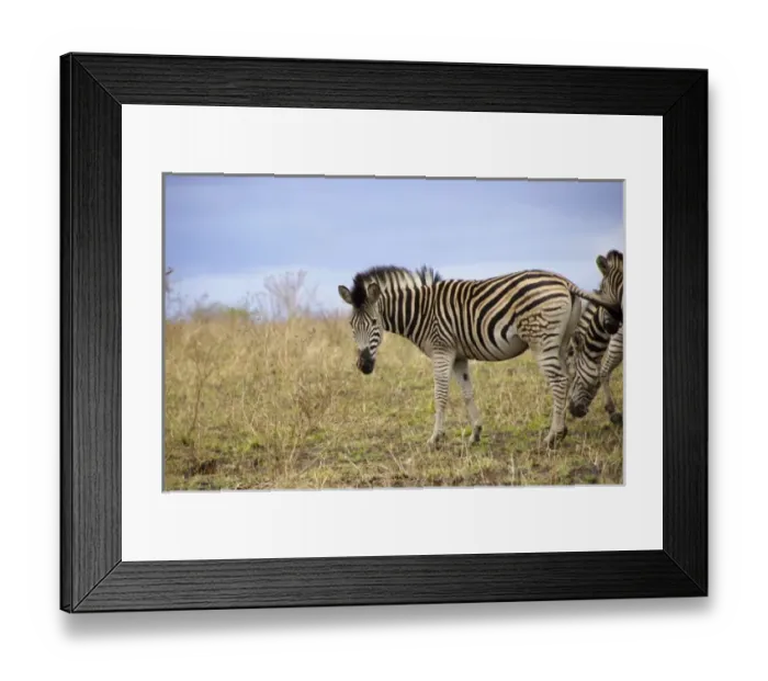 Framed Print : Africa, South Africa