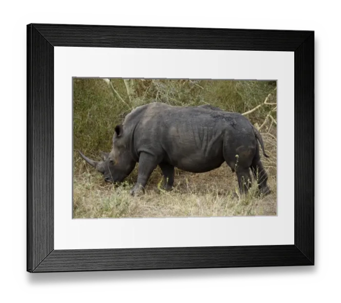 Framed Print : Africa, South Africa