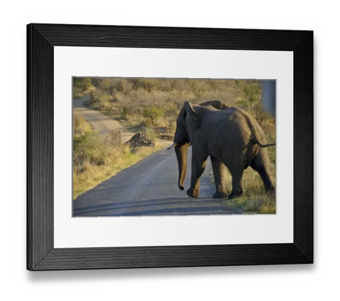Framed Print : Africa, South Africa