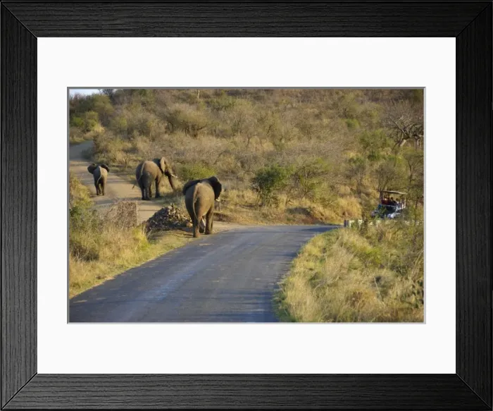 Framed Print : Africa, South Africa