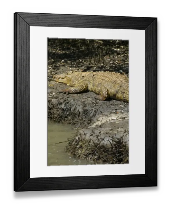 Framed Print : Africa, South Africa Framed Print : Africa, South Africa
