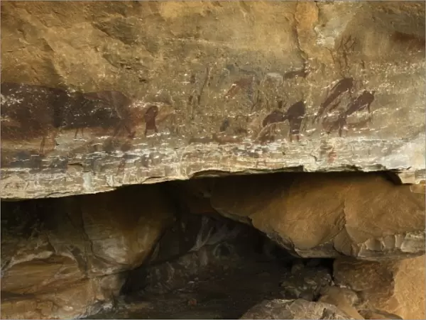 Main Cave- San Rock Art, Giants Castle World Heritage site, Drakensberg Mountains