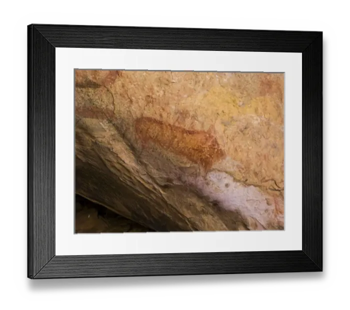 Framed Print : Africa, South Africa Framed Print : Africa, South Africa