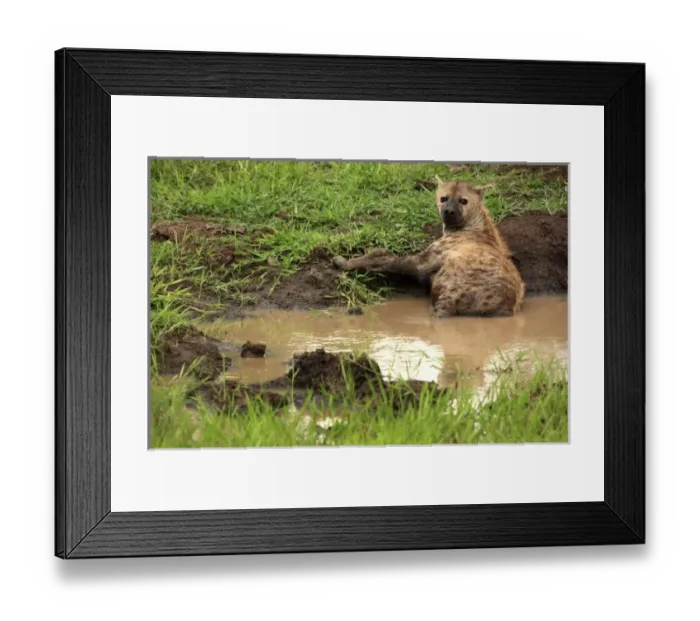 Framed Print : Africa, South Africa Framed Print : Africa, South Africa