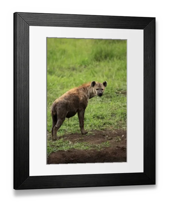 Framed Print : Africa, South Africa