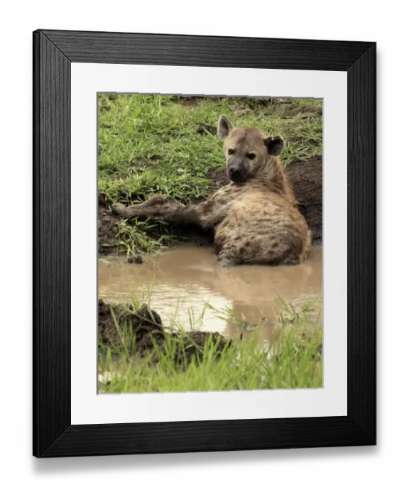 Framed Print : Africa, South Africa Framed Print : Africa, South Africa