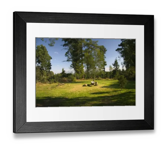 Framed Print : Africa, South Africa
