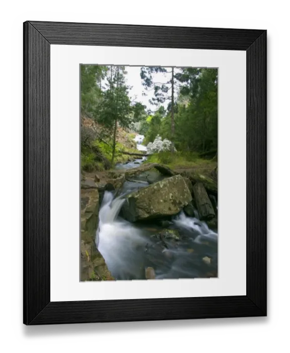 Framed Print : Africa, South Africa