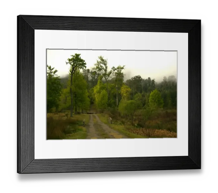 Framed Print : Hogsback, Eastern Cape, Amatole Mountains, South Africa. Hogsback (named after three Framed Print : Hogsback, Eastern Cape, Amatole Mountains, South Africa. Hogsback (named after three